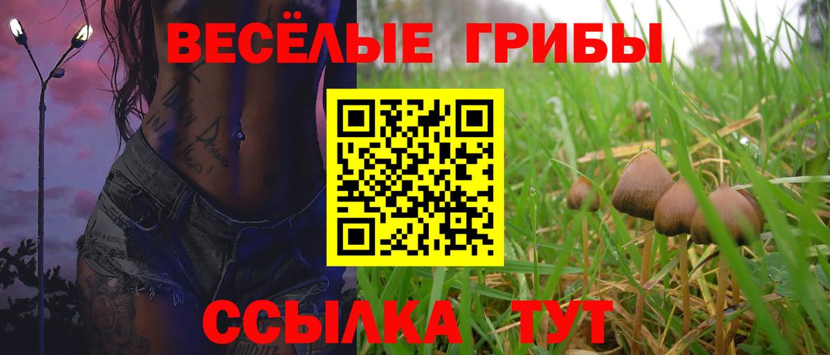 Кизилюрт  Галлюциногенные грибы ЛСД  закладки  Вход с VPN 